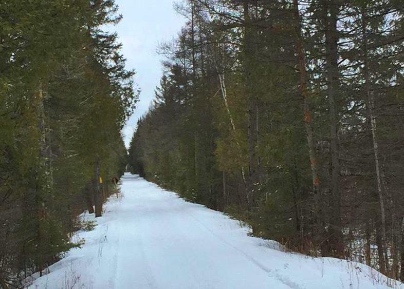 Felch Grade ORV Trail