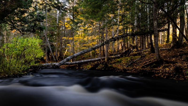Haymeadow Creek in the fall