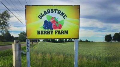 Gladstone Berry Farm