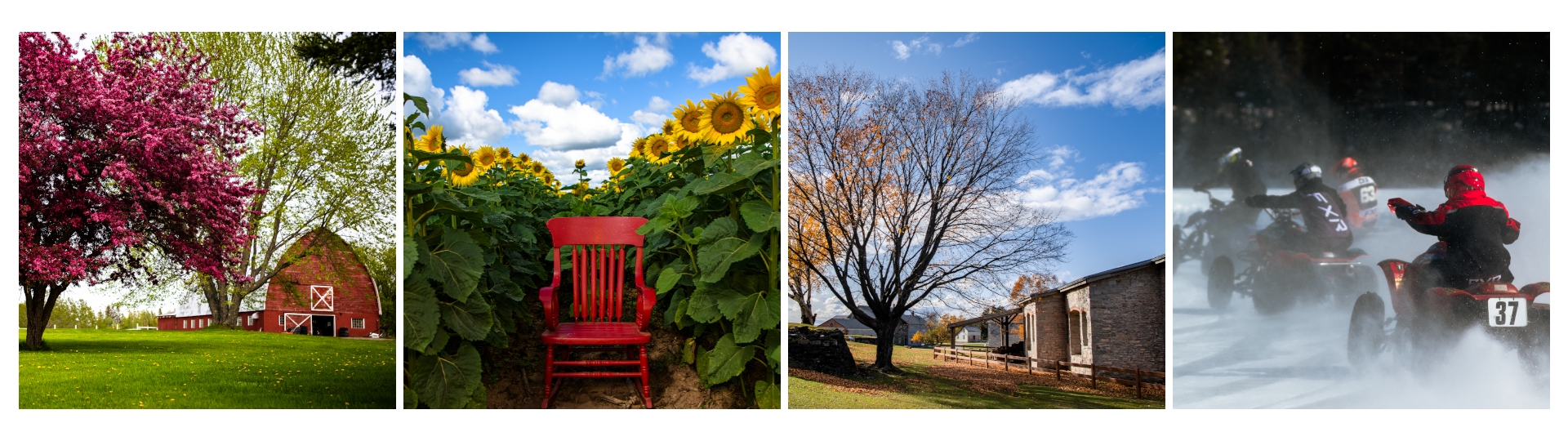 A collage of four images depicting the beauty of each season: Spring blossoms, Summer sunshine, Fall foliage, and Winter snow.