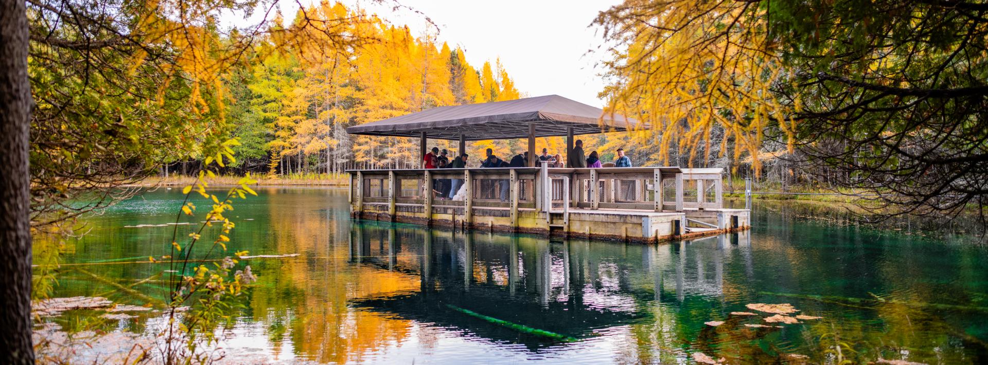 A captivating view of Kitch-iti-kipi, Michigan