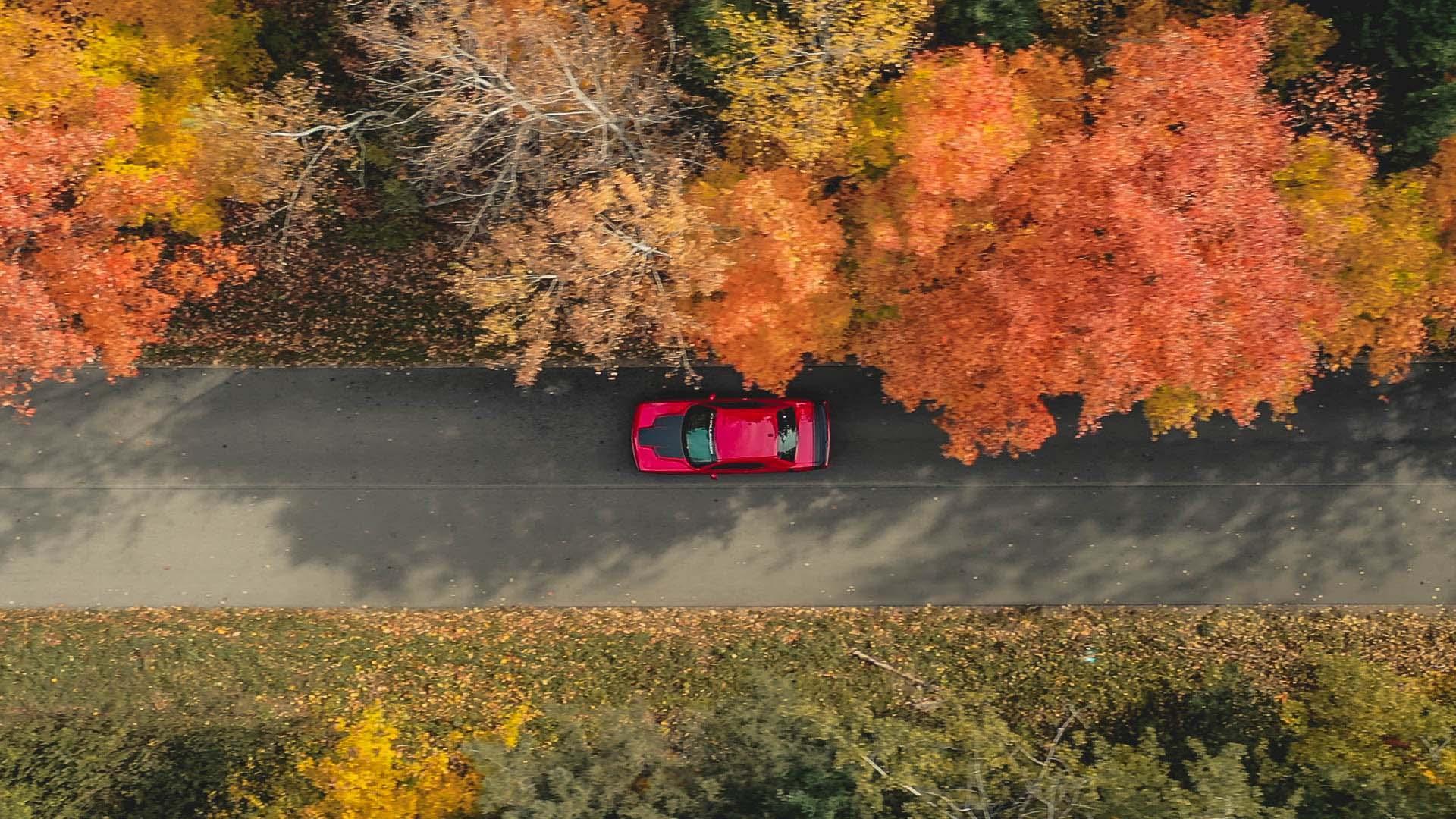 Scenic fall drive.