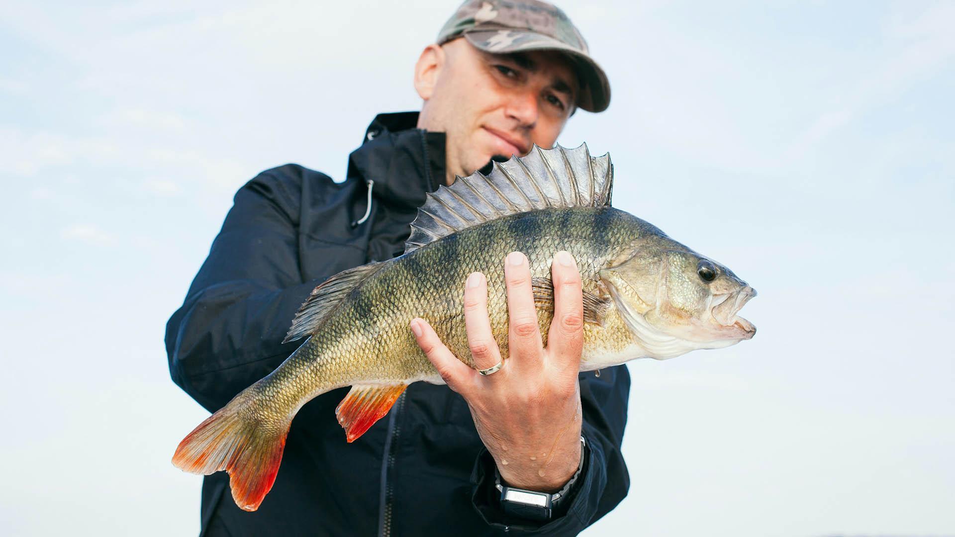 A man holding a perch.