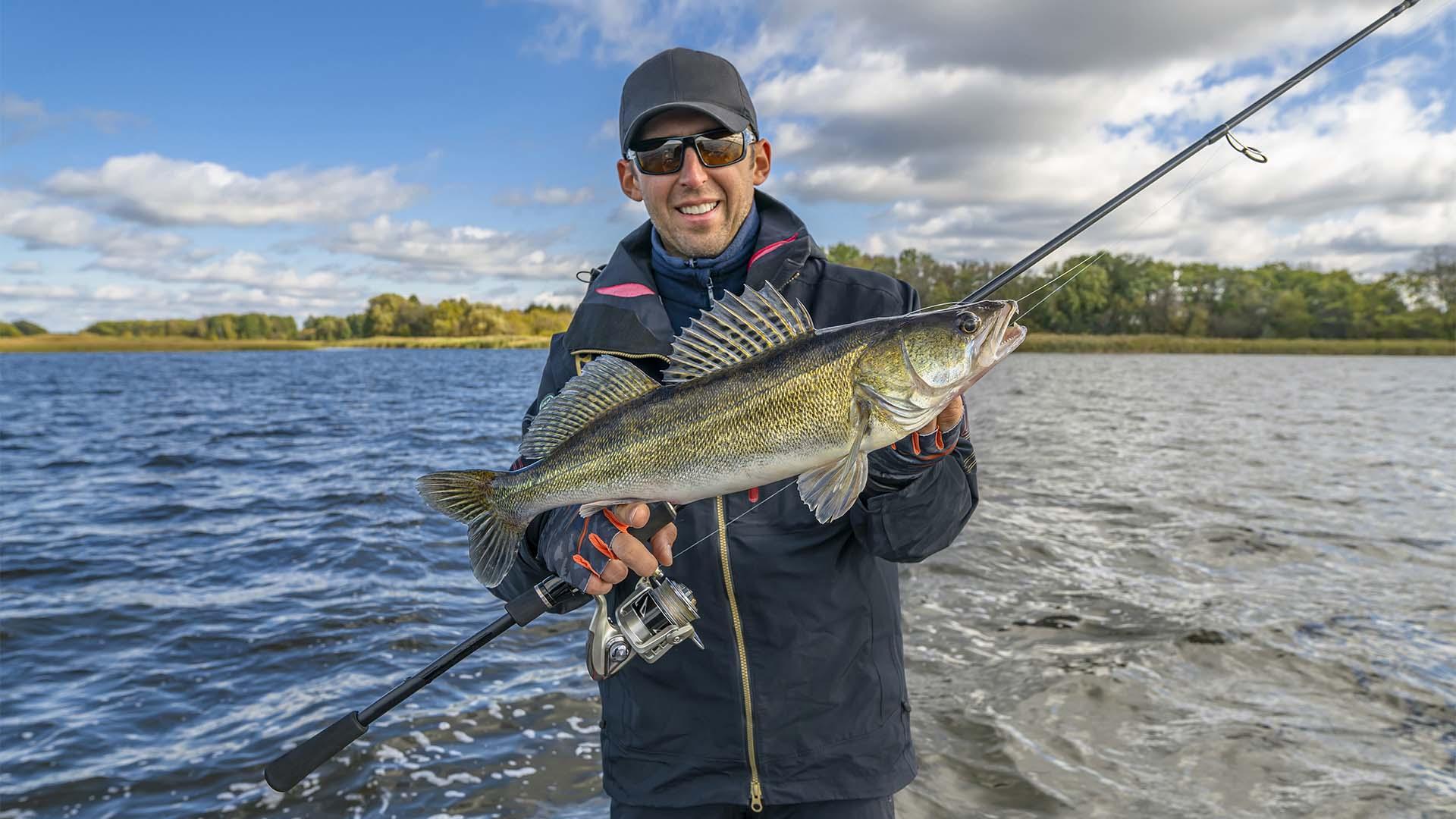 A fisherman holding a walleye.