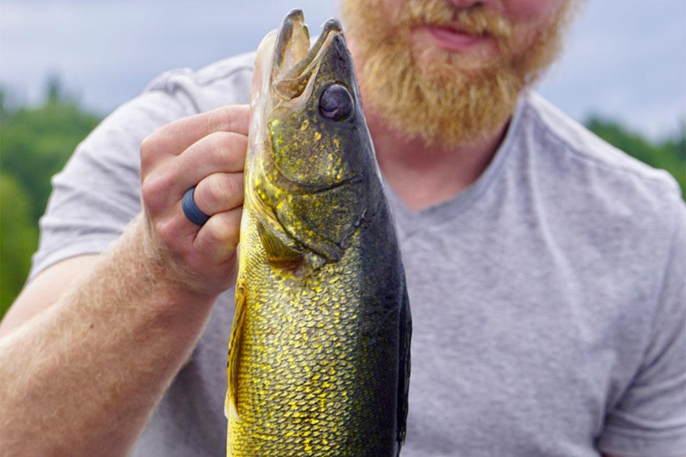 A man holding up a walleye.