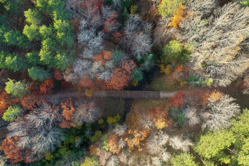 Experience Fall Magic in Delta County, Michigan