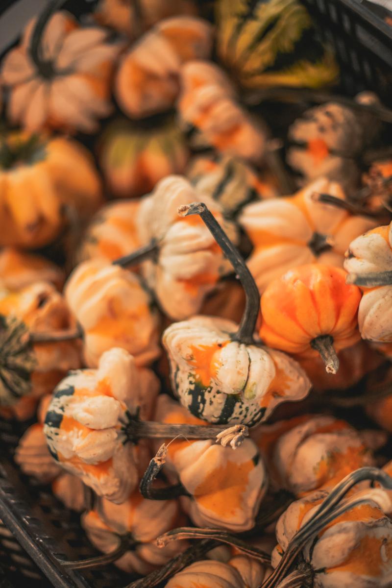 An assortment of colorful gourds for the fall season.
