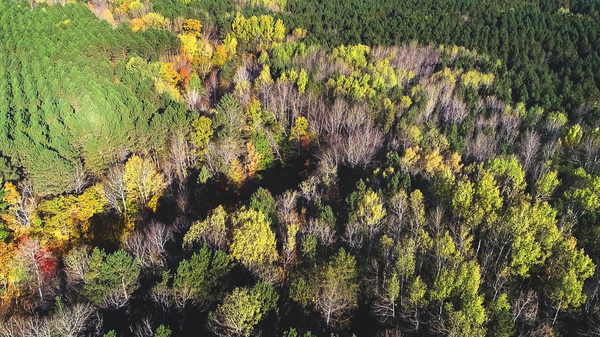 Delta Country Aerial