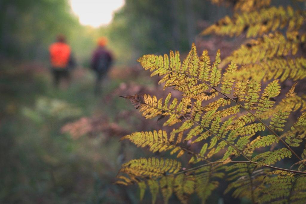 People hunting