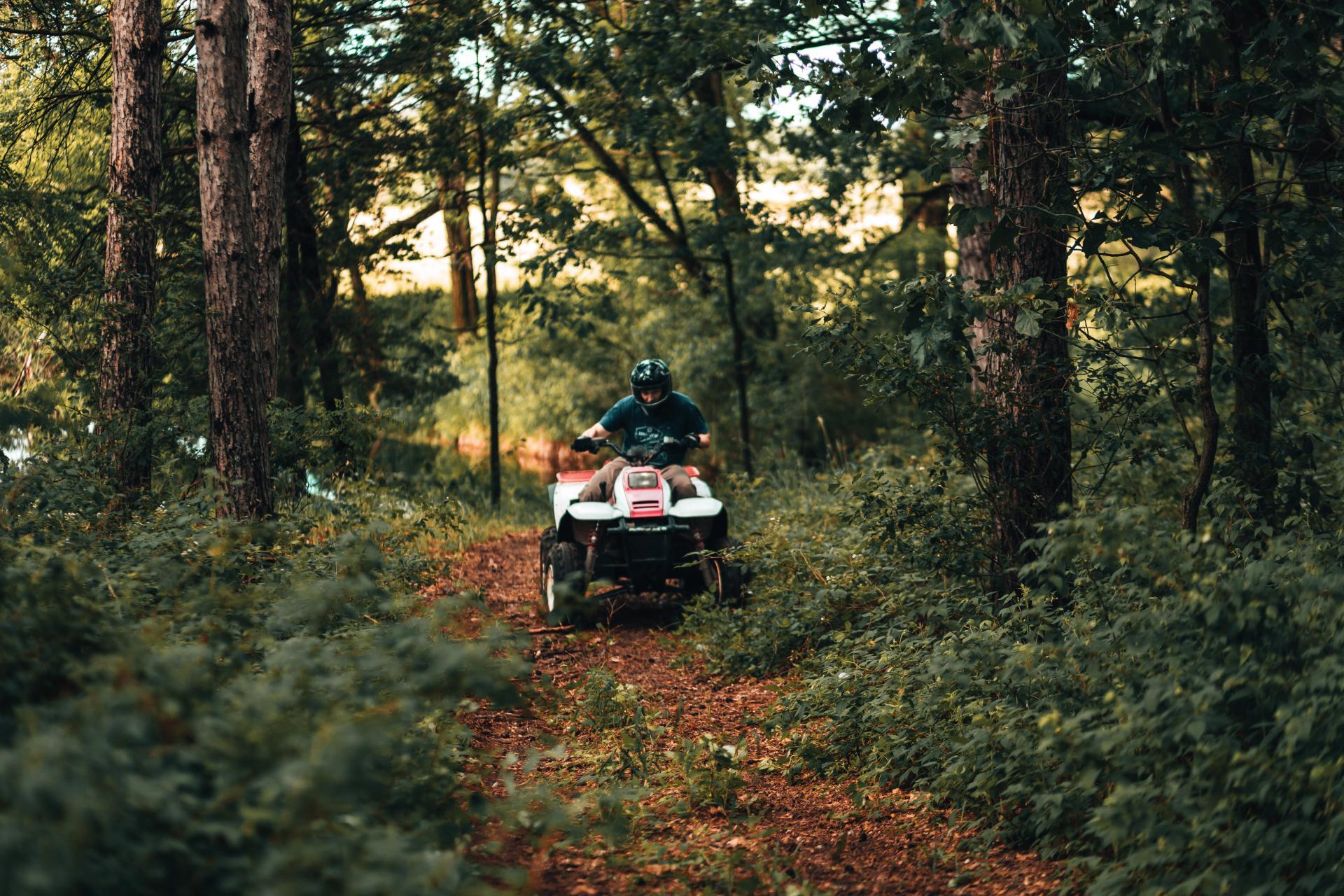 Off road vehicle in woods