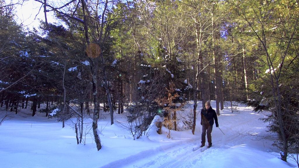 Skiing on trail