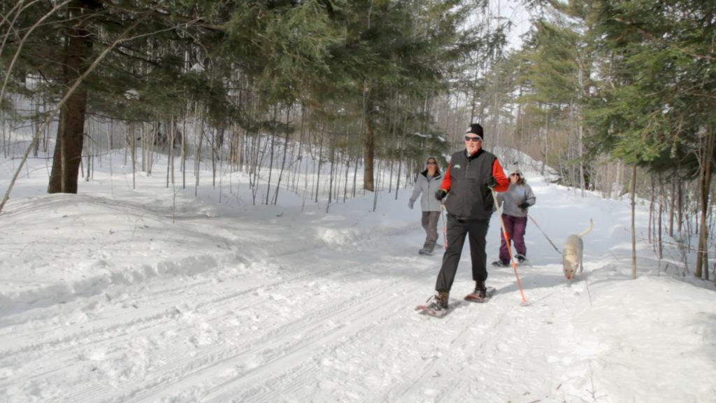 Snowshoe family