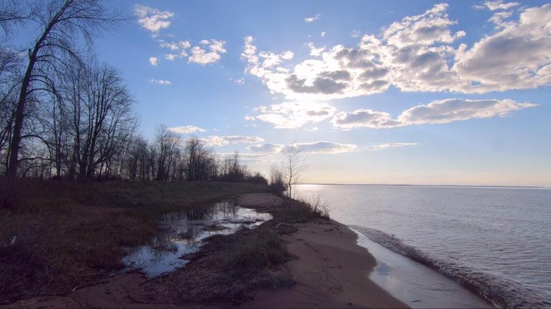 Portage Point Marsh