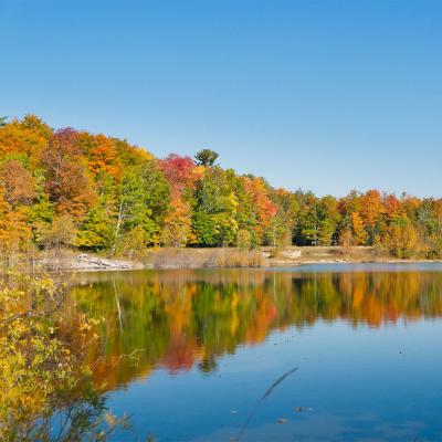 Fall colors