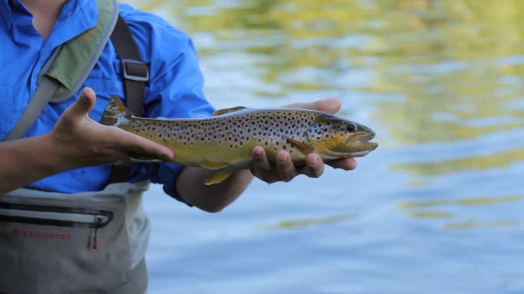 Northern Michigan River Fishing Trips