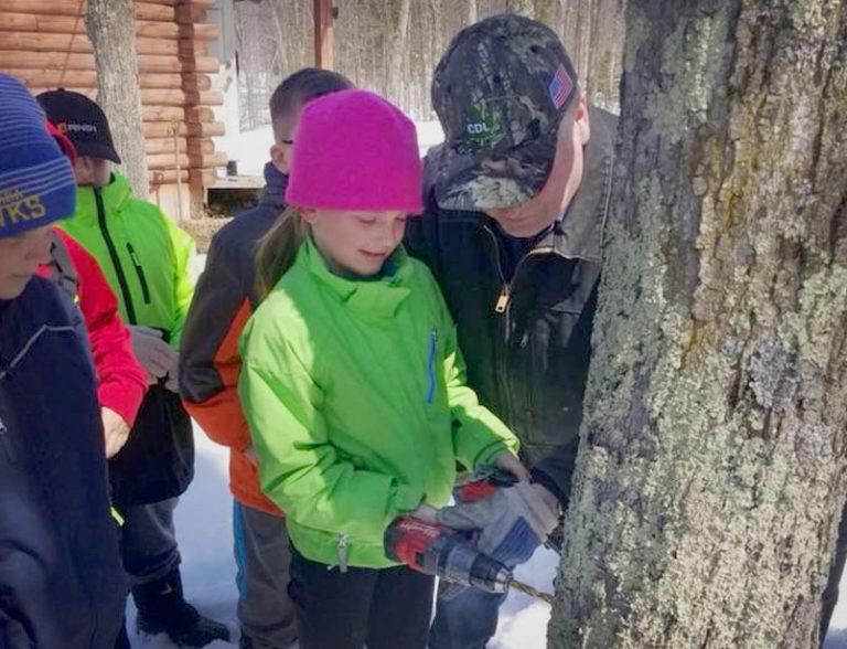 girl drilling tree for maple syrup