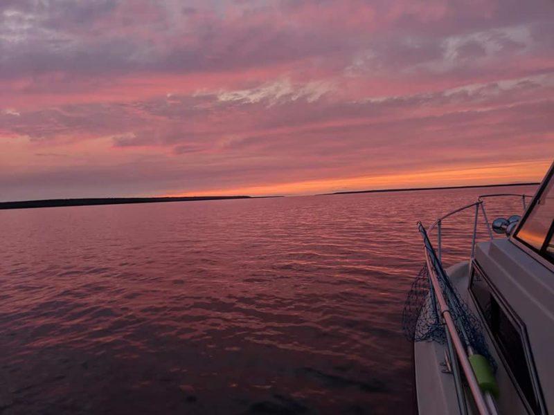 Go Slow For Spring Brown Trout - Lake Michigan – including Green Bay & Bay  de Noc - Lake Michigan – including Green Bay & Bay de Noc