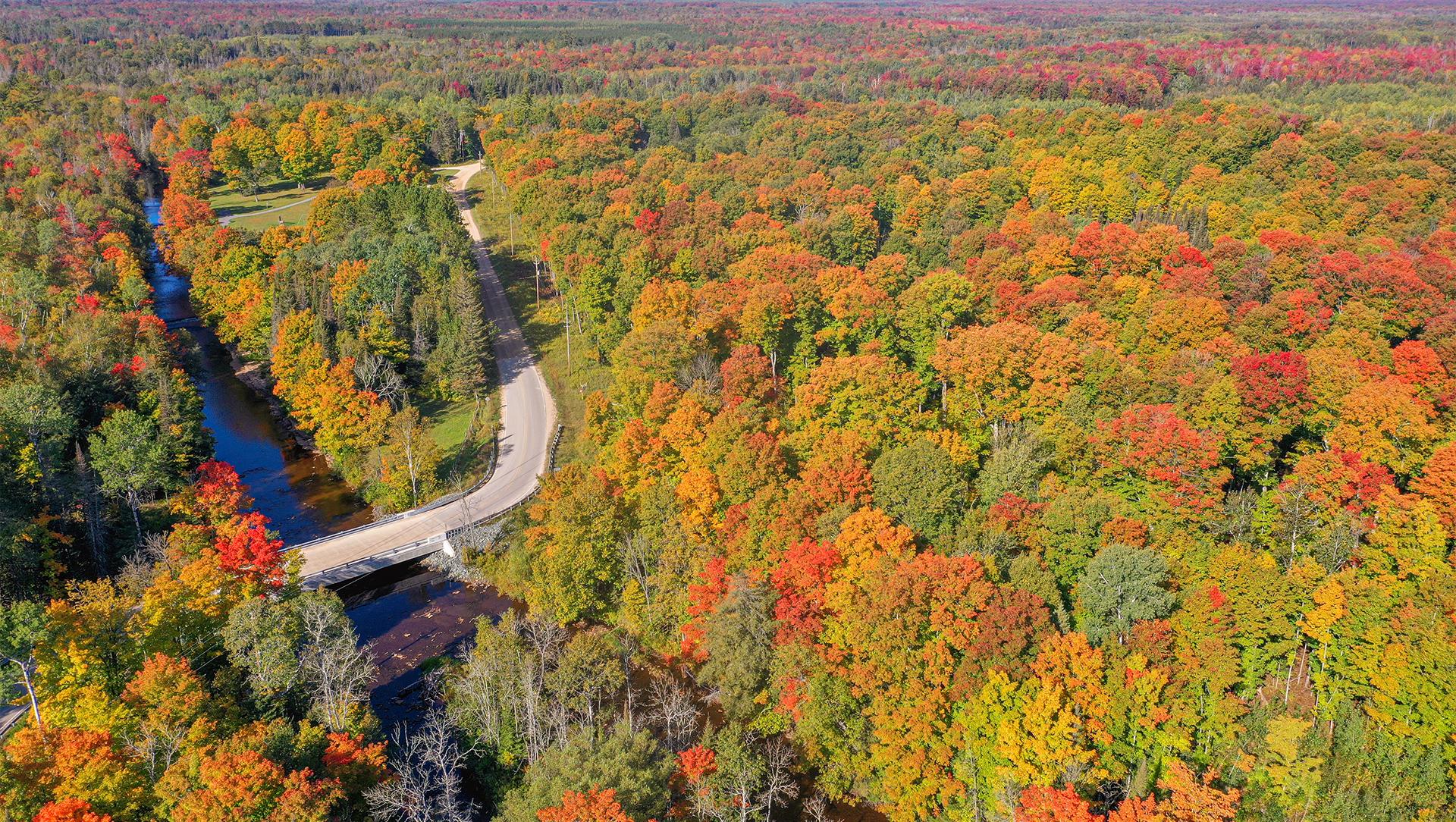 Fall Color & Road