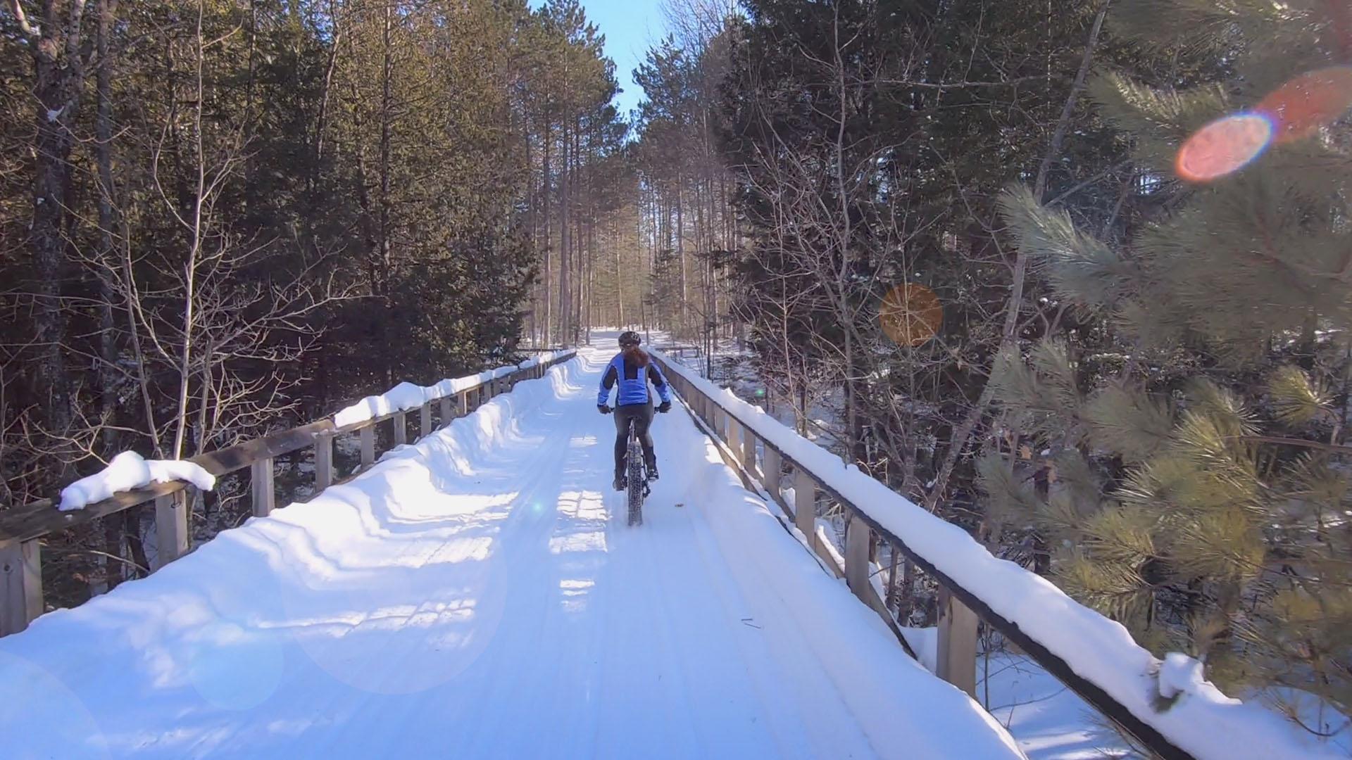 Fat Tire Biking