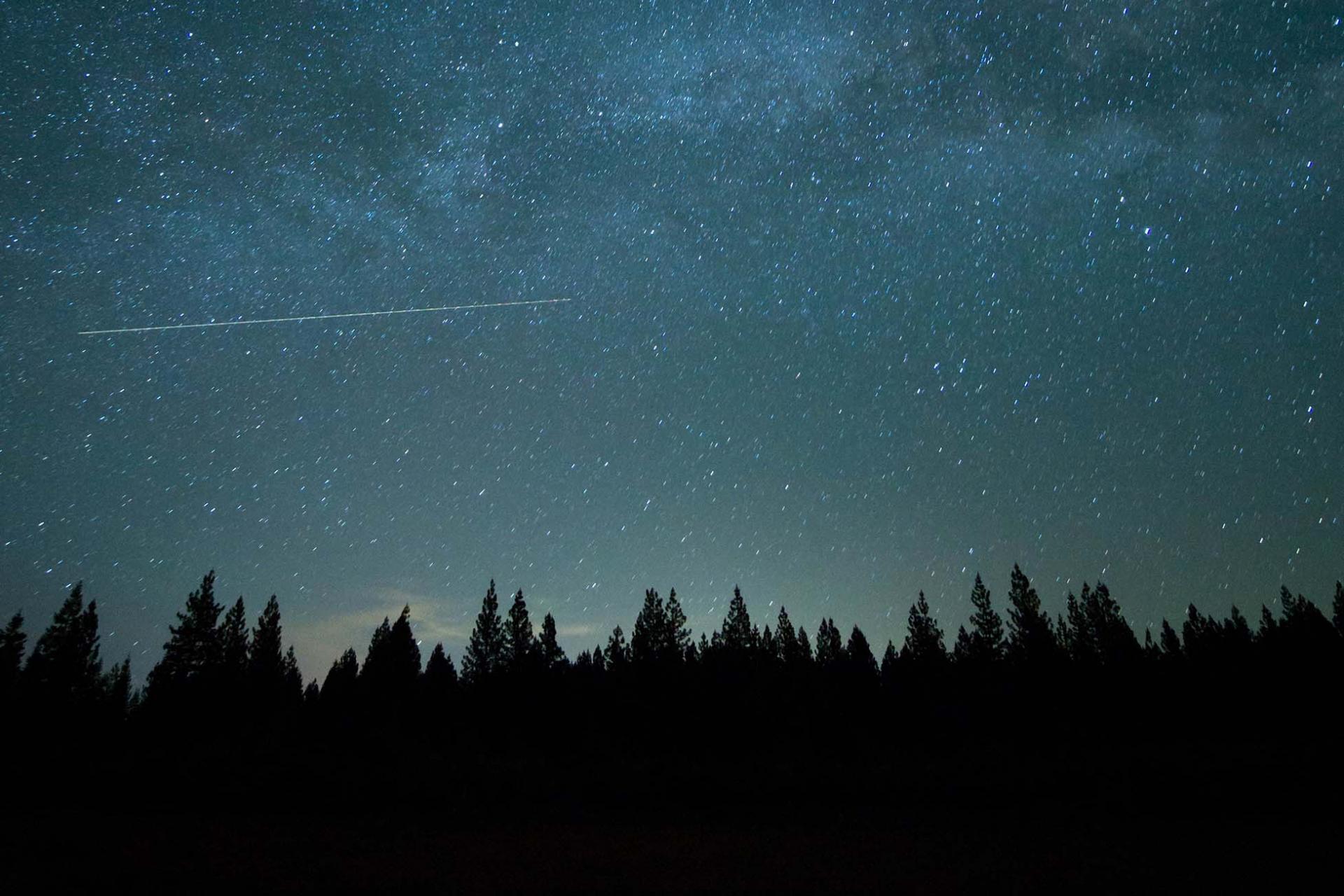 Starry night sky with trees