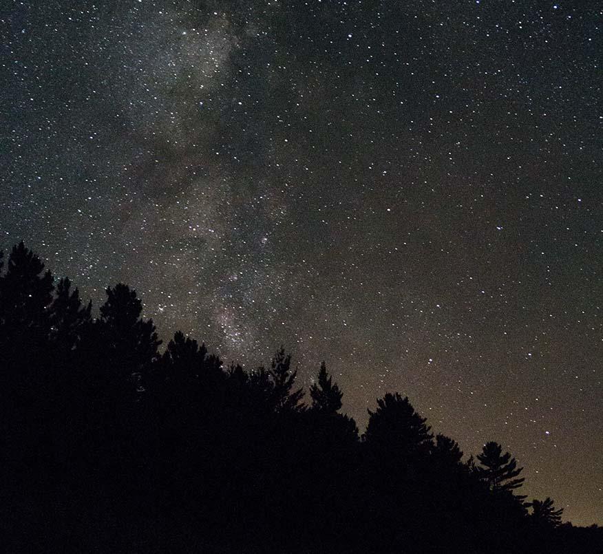 Starry night sky with trees