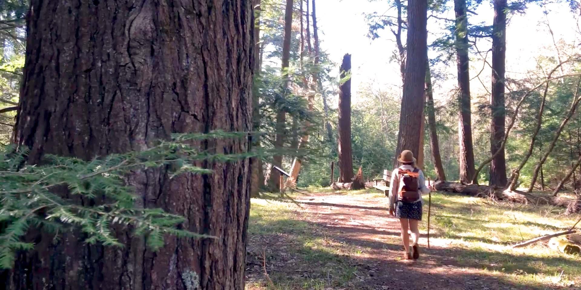 A person hiking a trail at Maywood Forest