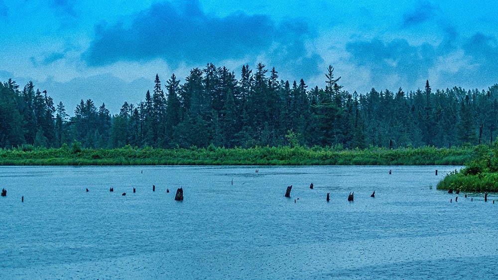 A lake and trees at Seney Wildlife Refuge.