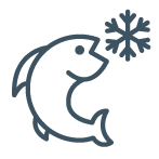 Ice Fishing